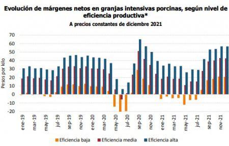 margen-cerdos-450x287