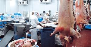 f82c6e358a92e1835531e314e5274551