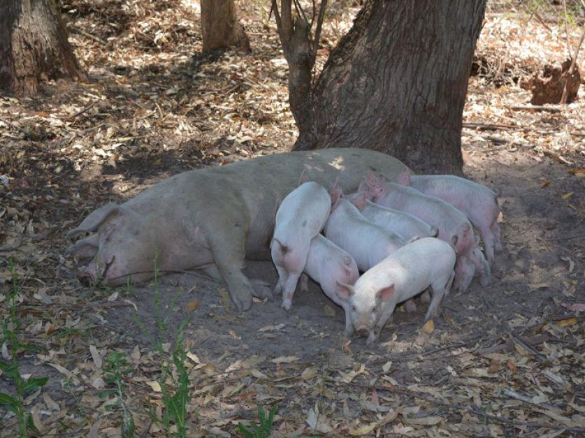 6022ba1f1adf9_837_627