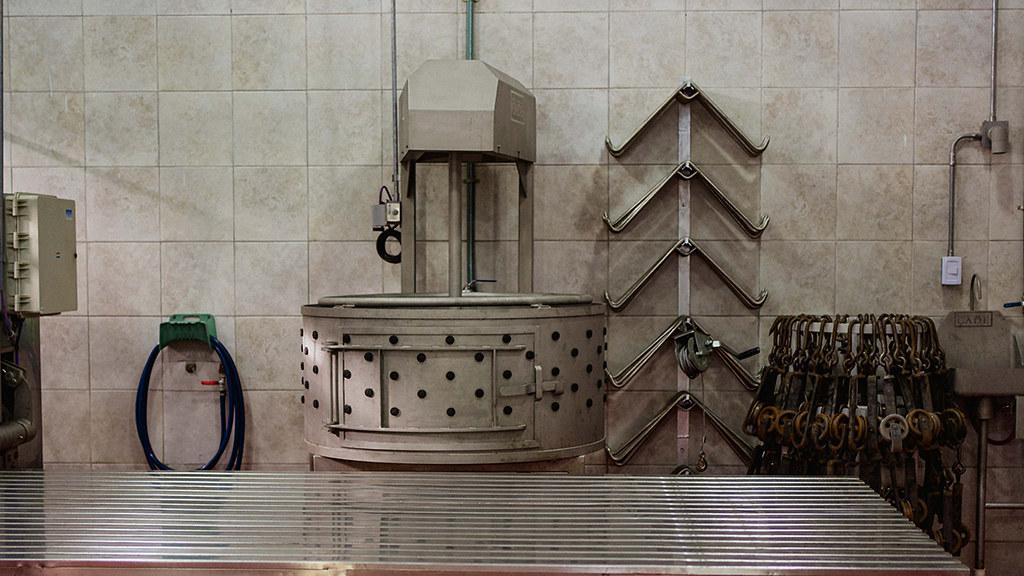 50667115127_56bdc4ec3b_b