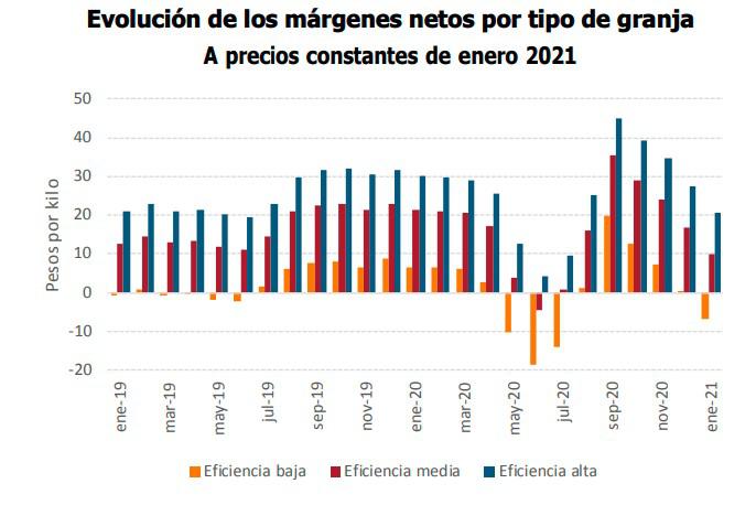 ic-margenes cerdos mediterranea