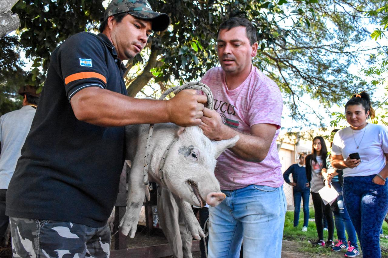 WhatsApp-Image-2019-04-17-at-20.16.57-1