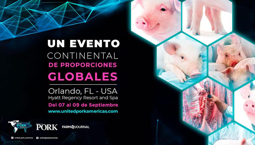 IC- United Pork americas