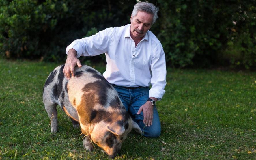 Felipe Sola y Pelota.2