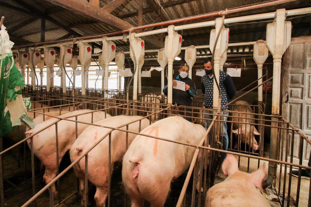 attach_69fe02790525f4a6ec0719172edec32a-1536x1024