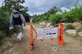 IC-corea del sur