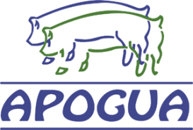 ic-apogua