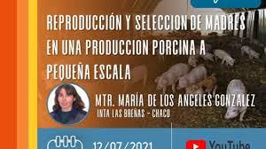 reproduccion y seleccion de madres