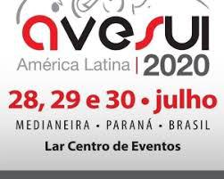 IC-AVESUI 2020