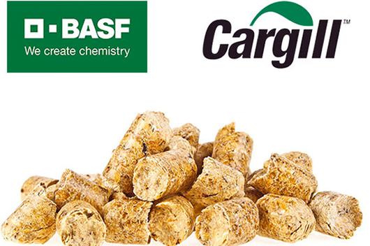 z_BASF___CARGILL