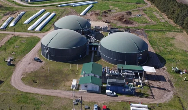 ic-Pacuca Bioenergia