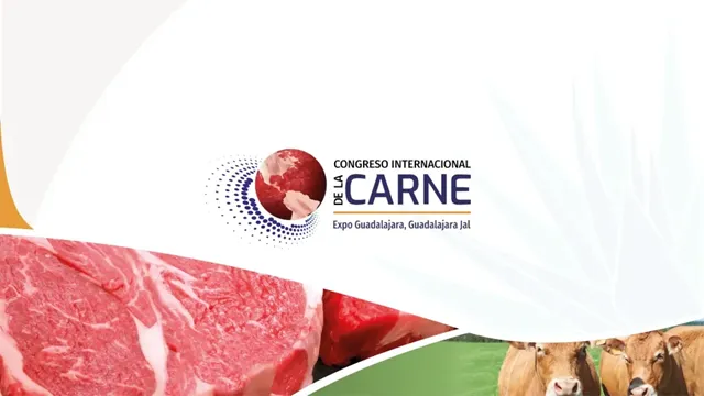 IC-CONGRESO CARNE