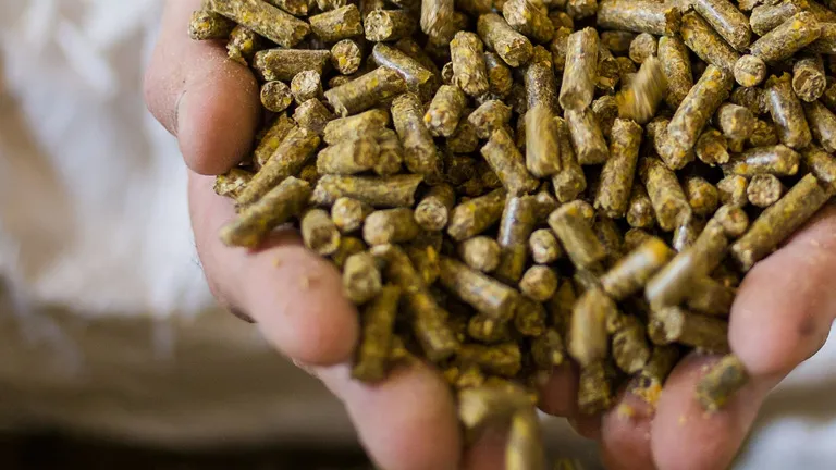 teaser-digestibility