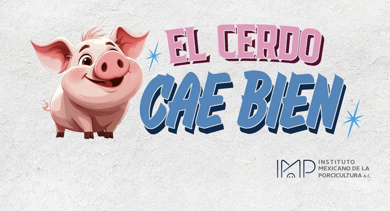 IC-el cerdo cae bien 2