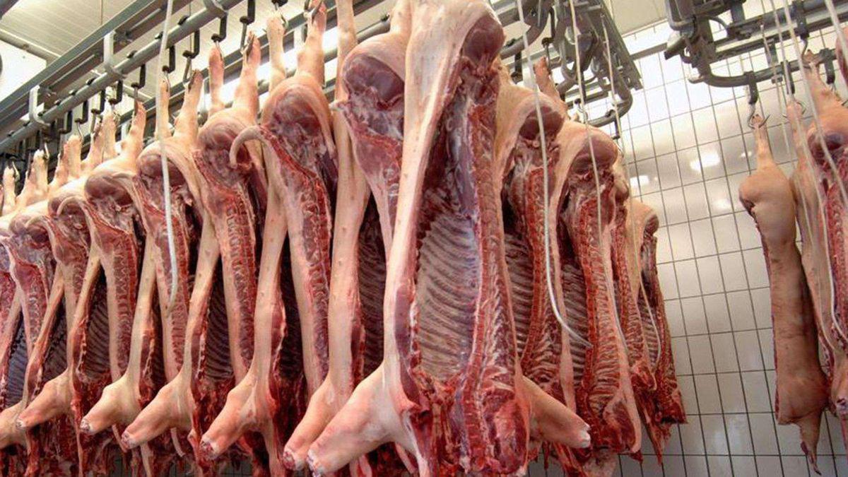 IC-Carne-de-cerdo-EXPO