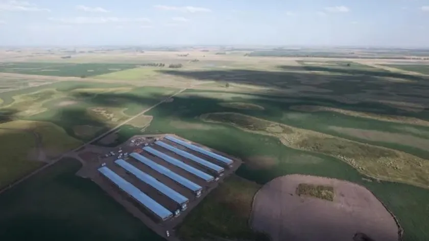 IC-MEga granja