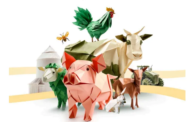 Captura-de-pantalla-2024-10-16-185056-654x410