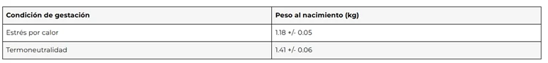 IC-TABLA 2