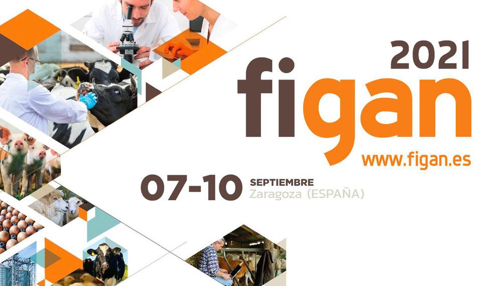 Evento_5fdb9837a1134_17122020