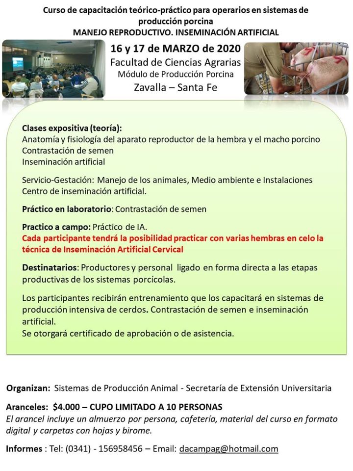 ic-eventos