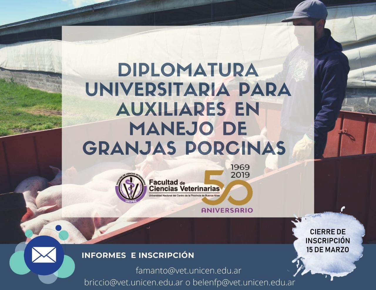 ic-diplomatura